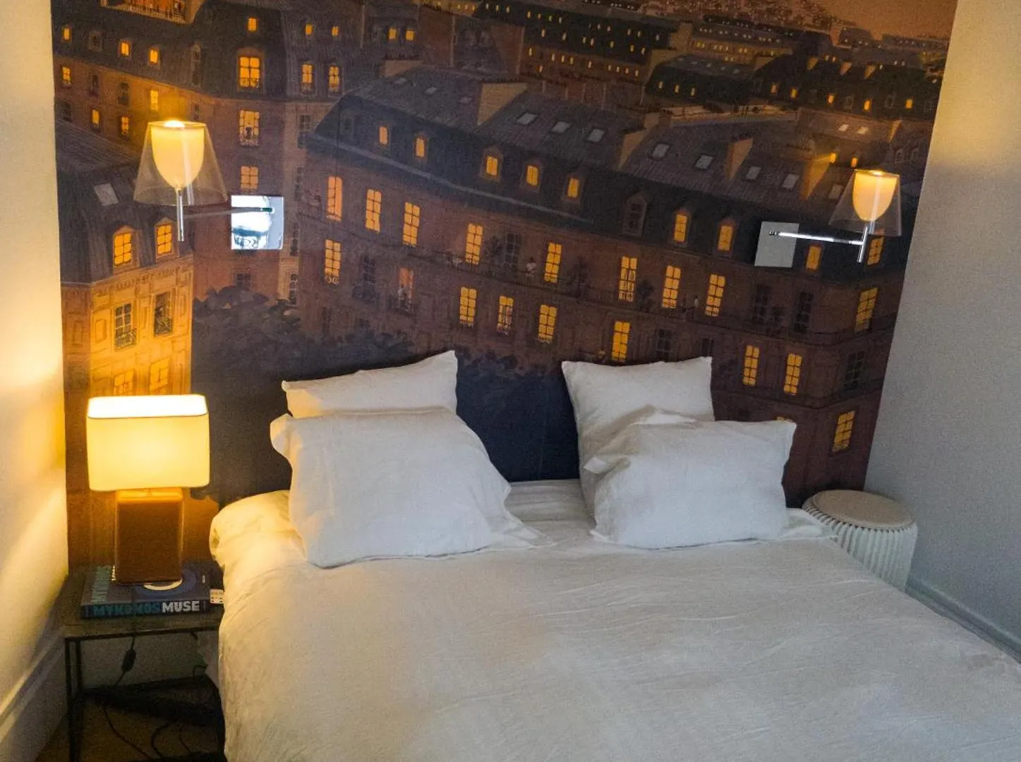 Pic De Notre Dame, Charming Paris